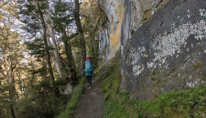 Hiker passing limestone bluffs on the Kepler Track ascent to Luxmore Hut
