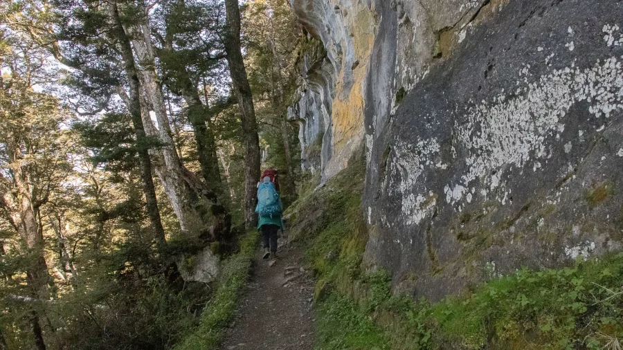 Hiker passing limestone bluffs on the Kepler Track ascent to Luxmore Hut