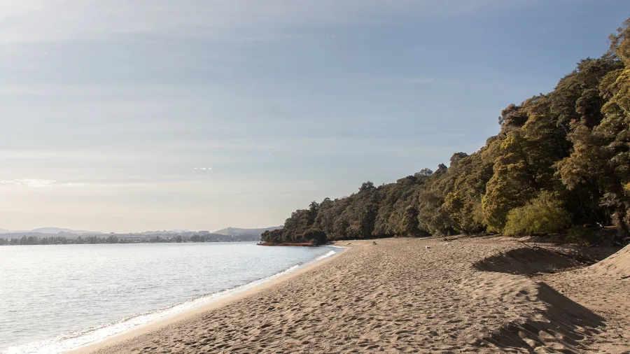 Sandy shoreline at Brod Bay on Lake Te Anau, Southland, New Zealand