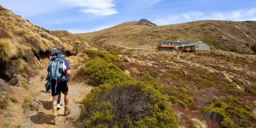 Tramper approaching Luxmore Hut on the Kepler Track