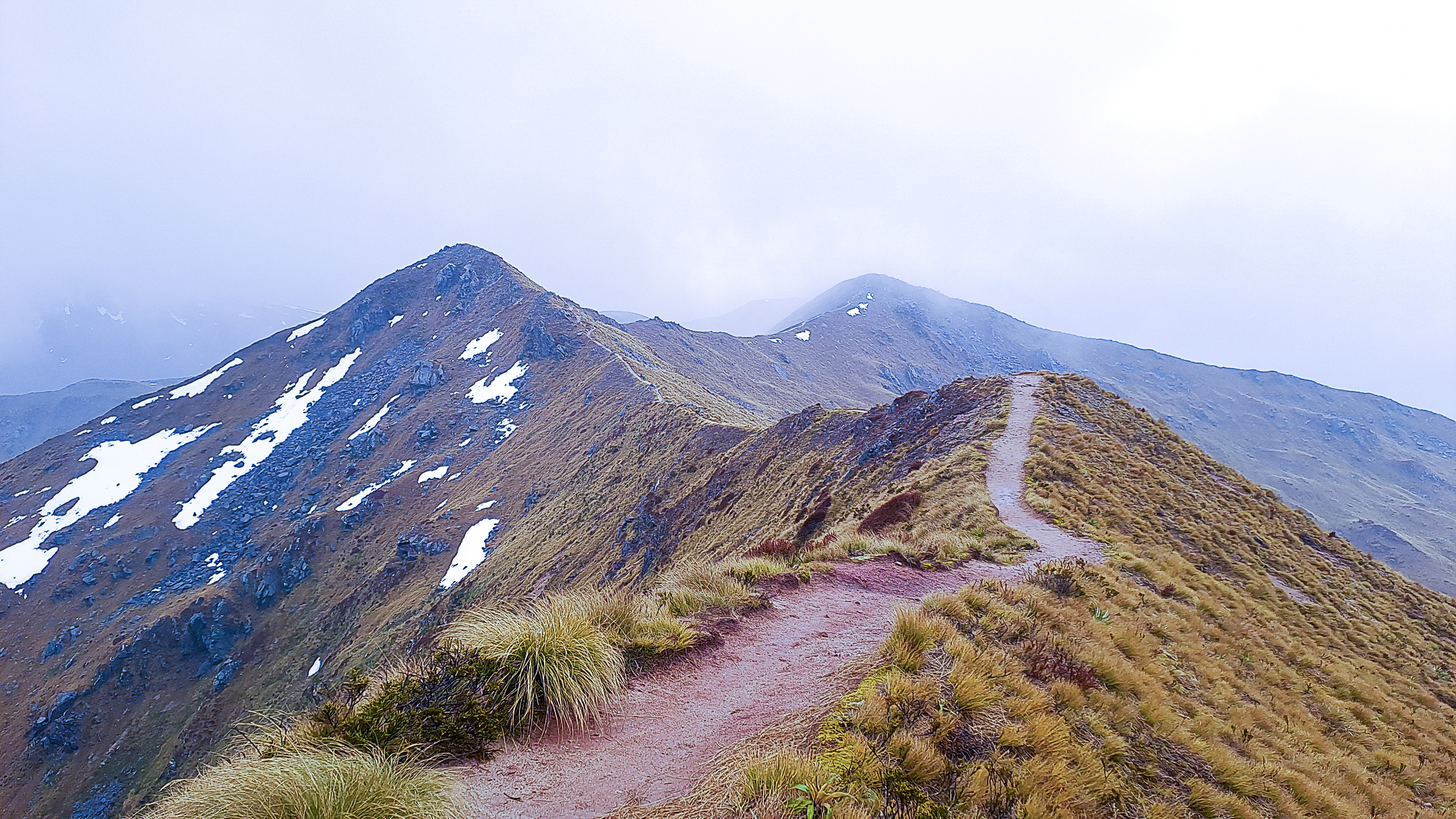 A narrow dirt walking track winds along a high mountain ridge. Golden tussock grass and patches of white snow cover the slopes under a heavy, misty sky in Fiordland National Park.