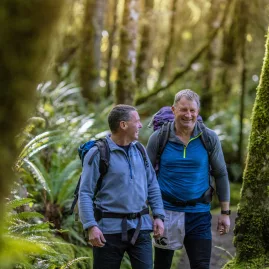 Two friends hiking through lush beech forest on the Kepler Track, Southland, New Zealand