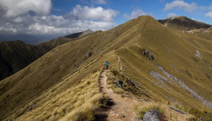 Hiker on ridgeline track of the Kepler Track, Southland, New Zealand