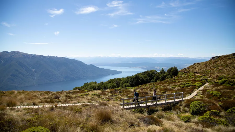 Hikers on a boardwalk overlooking Lake Te Anau on the Kepler Track, Southland, New Zealand