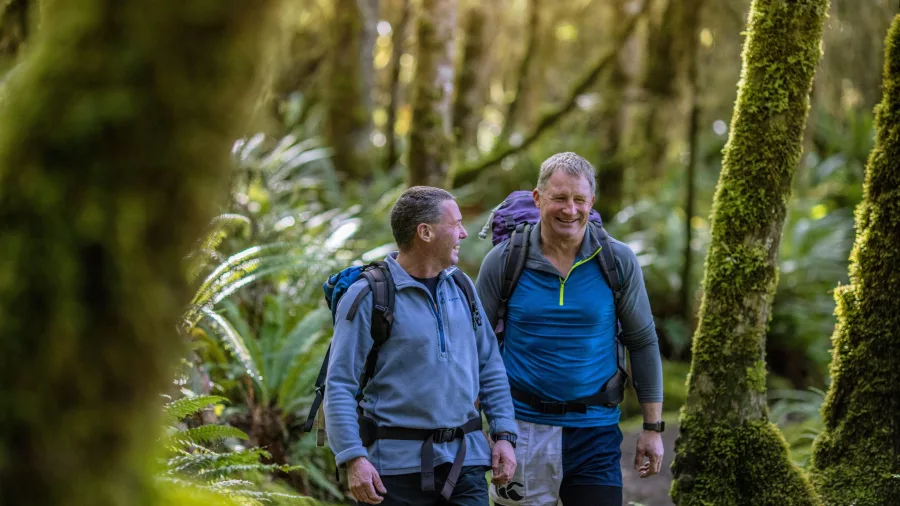 Two friends hiking through lush beech forest on the Kepler Track, Southland, New Zealand