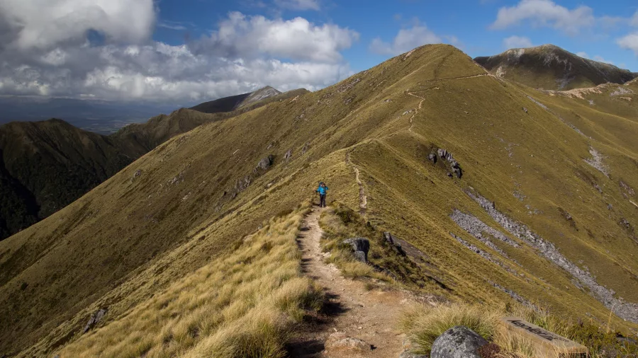 Hiker on ridgeline track of the Kepler Track, Southland, New Zealand