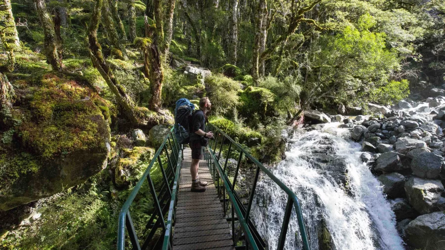 Hiker crossing bridge by waterfall on the Kepler Track, Southland, New Zealand