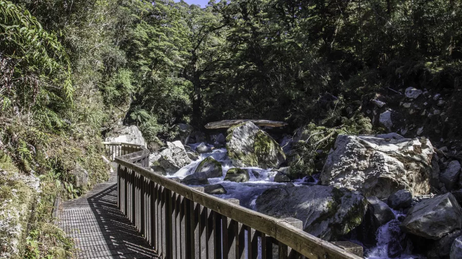Boardwalk along the Gantry section of the Lake Marian Track beside the Hollyford River, Southland New Zealand