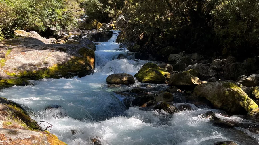 Rushing river and waterfall along the Lake Marian Track in lush Fiordland forest, Southland New Zealand