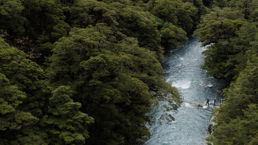 Aerial view of hikers crossing swing bridge over river on Lake Marian Track, Fiordland National Park, Southland New Zealand