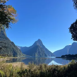 Calm morning reflection of Mitre Peak at Milford Sound Piopiotahi in Fiordland National Park, New Zealand