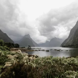Dramatic view of Milford Sound with cloudy skies, lush vegetation, and towering peaks in Fiordland National Park, South Island, New Zealand