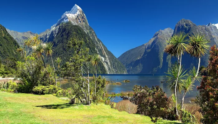 Mitre Peak on a clear day at Milford Sound Piopiotahi, Fiordland National Park, New Zealand
