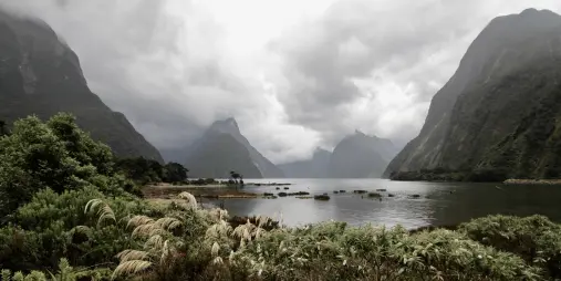 Dramatic view of Milford Sound with cloudy skies, lush vegetation, and towering peaks in Fiordland National Park, South Island, New Zealand