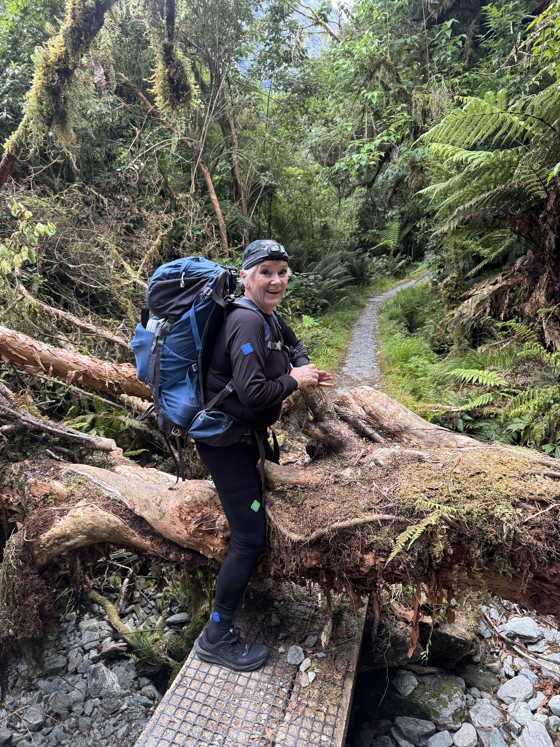 Walker crossing a fallen tree along the Milford Track through Fiordland rainforest