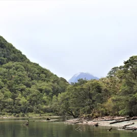 Scenic river view along the Milford Track in Fiordland National Park, New Zealand