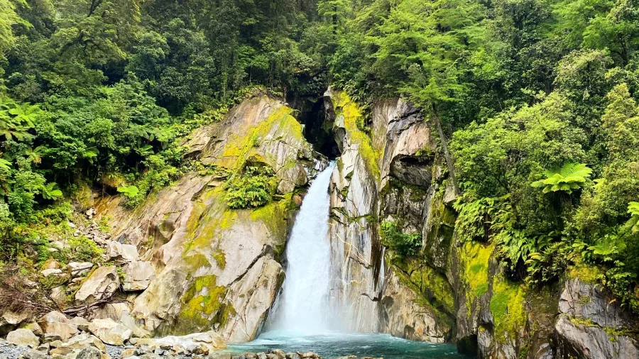Giant’s Gate Falls cascading into a turquoise pool on the Milford Track, New Zealand