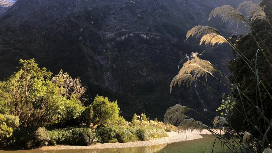 Mountain view along the Milford Track in Fiordland National Park, New Zealand