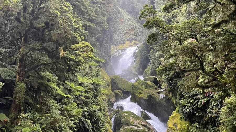Mackay Falls on the Milford Track in Fiordland National Park, New Zealand
