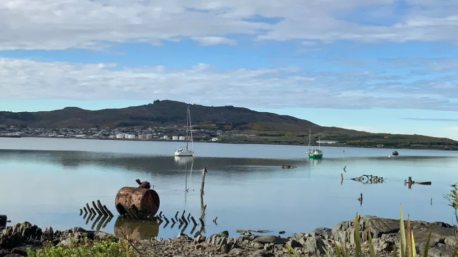 Calm Bluff Harbour with skeletal remains of ships and yachts anchored offshore, looking toward Invercargill.