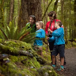 Family with guide exploring native ferns and forest ecology on the Kepler Track.