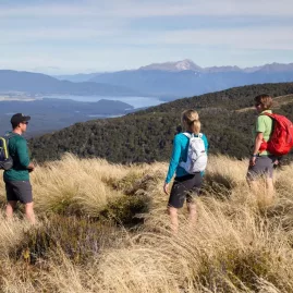 Hikers admiring panoramic views over Lake Manapouri from the Kepler Track.