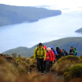 A group of hikers making their way towards Mount Luxmore on the Kepler Track.