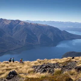 Hikers descending the Kepler Track through golden tussock with Lake Te Anau in the distance.
