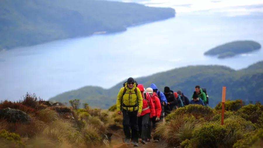 A group of hikers making their way towards Mount Luxmore on the Kepler Track.