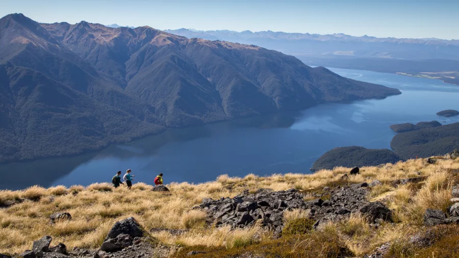 Hikers descending the Kepler Track through golden tussock with Lake Te Anau in the distance.
