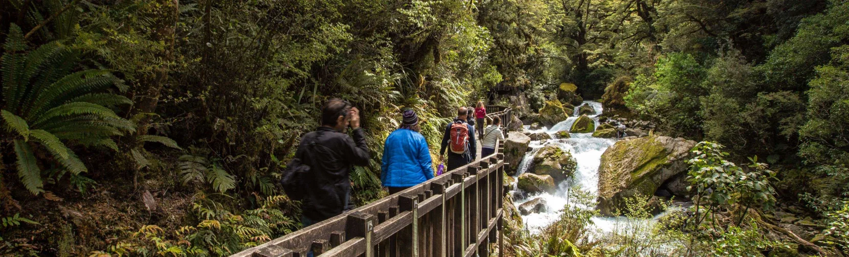 Hikers crossing the gantry above a river gorge on the Lake Marian Track.