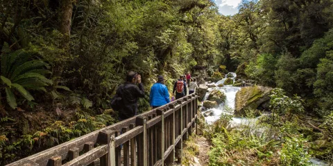 Hikers crossing the gantry above a river gorge on the Lake Marian Track.