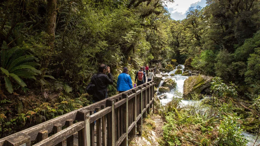 Hikers crossing the gantry above a river gorge on the Lake Marian Track.