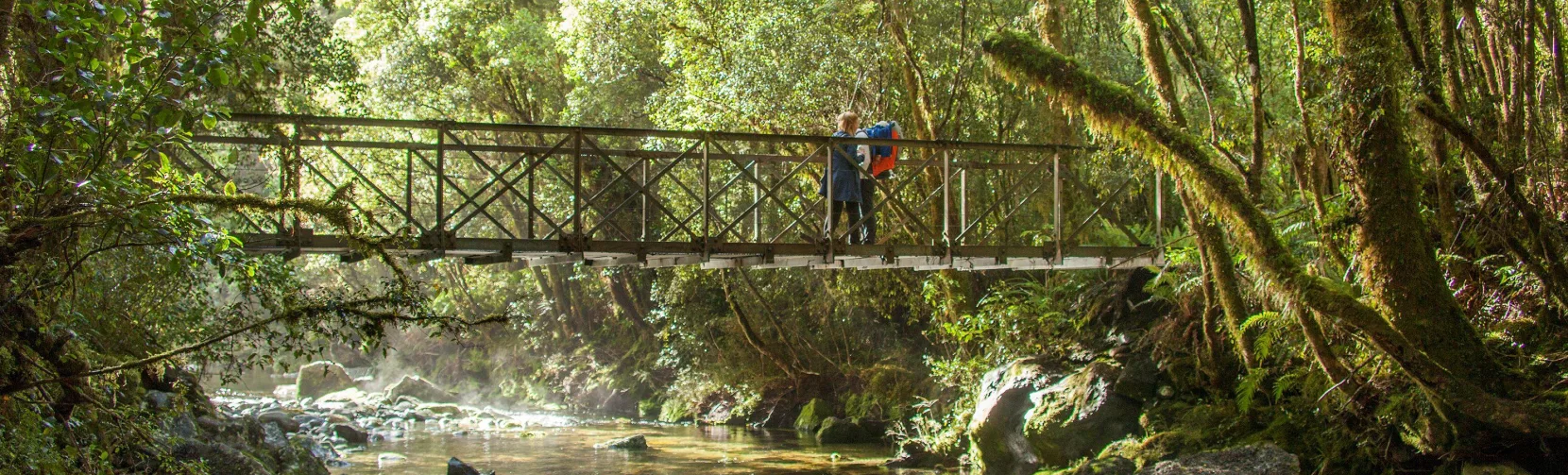Hikers pause on a footbridge above Camp Oven Creek surrounded by lush Fiordland forest.