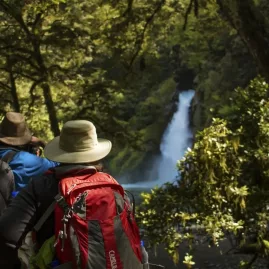 Two trampers walking through forest towards Giant Gate Falls on the Milford Track.