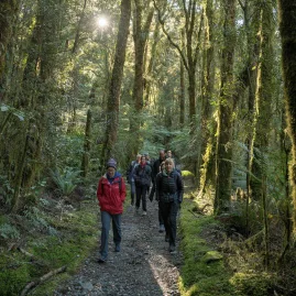 Autumn hiking through forest on the Milford Track.