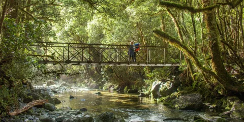 Hikers pause on a footbridge above Camp Oven Creek surrounded by lush Fiordland forest.