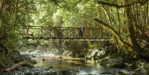 Hikers pause on a footbridge above Camp Oven Creek surrounded by lush Fiordland forest.