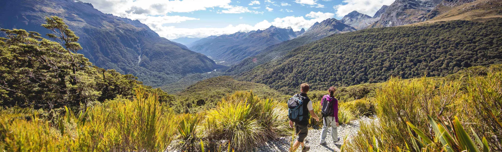 Hikers walking the alpine trail to Key Summit on the Routeburn Track.