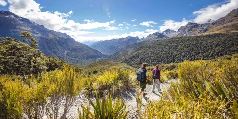 Hikers walking the alpine trail to Key Summit on the Routeburn Track.