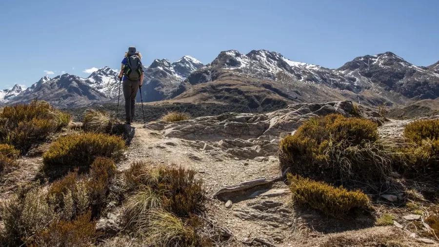 Solo hiker standing at Key Summit on the Routeburn Track with panoramic mountain views.