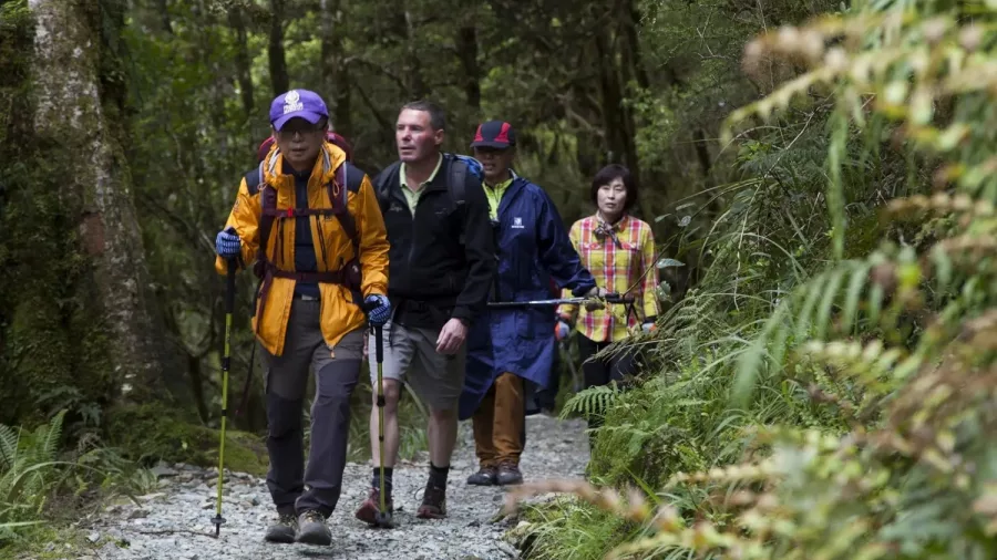 Guided group hiking through lush native forest on the Routeburn Track.
