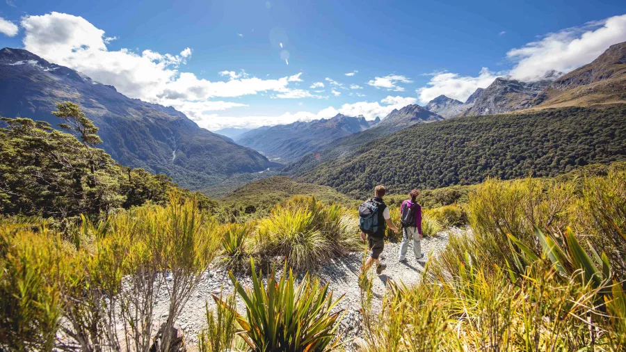 Hikers walking the alpine trail to Key Summit on the Routeburn Track.