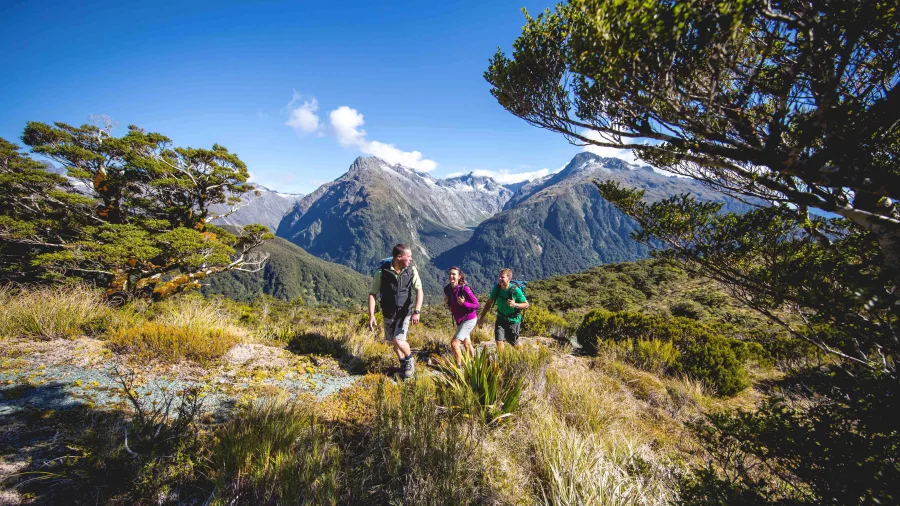 roup of hikers climbing through alpine bush towards Key Summit on the Routeburn Track.