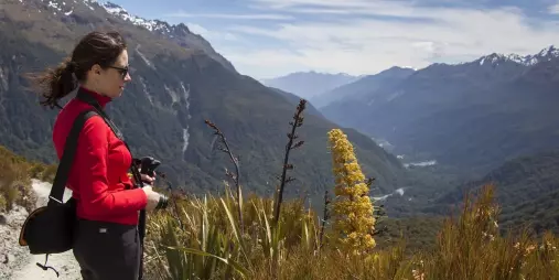 Woman photographing native Spaniard grass flower overlooking Hollyford Valley on the Routeburn Track.