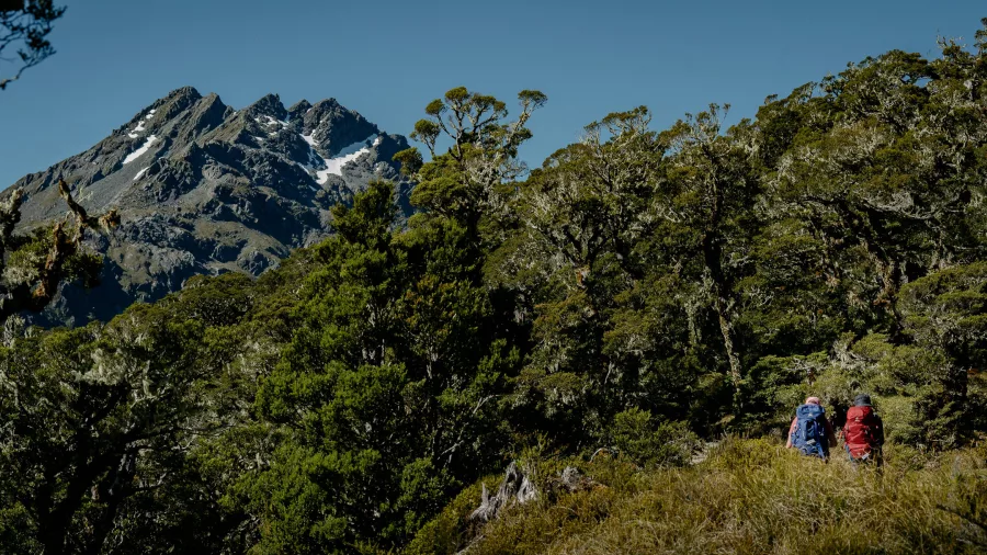 Hikers on the Routeburn Track with mountain backdrop, Fiordland National Park