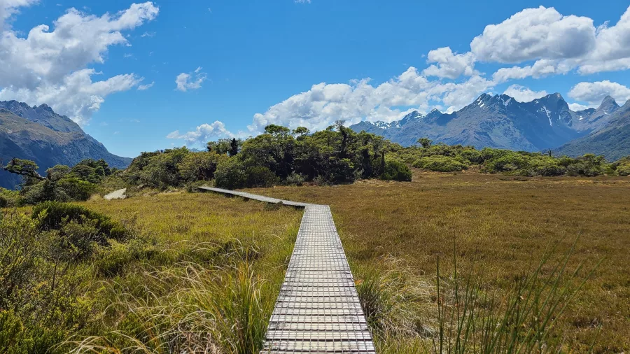 Boardwalk at Key Summit on the Routeburn Track
