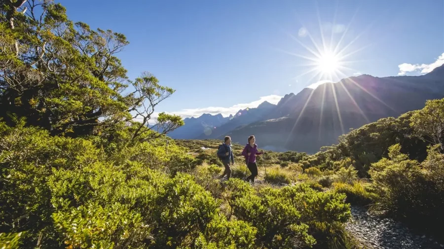 Hikers on the Routeburn Track near Key Summit in Fiordland