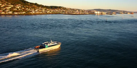 Ferry departing Bluff for Oban Harbour on Stewart Island, New Zealand