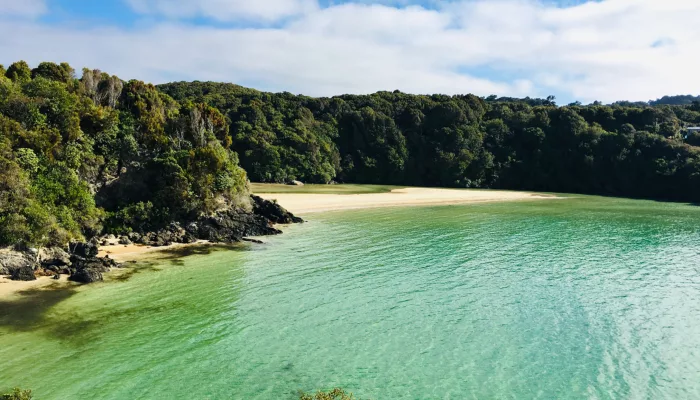 Crystal-clear waters and golden sand at Bathing Beach, Stewart Island